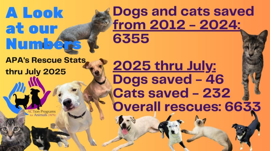 ActionforAnimals_lifesavingstatistics_2025